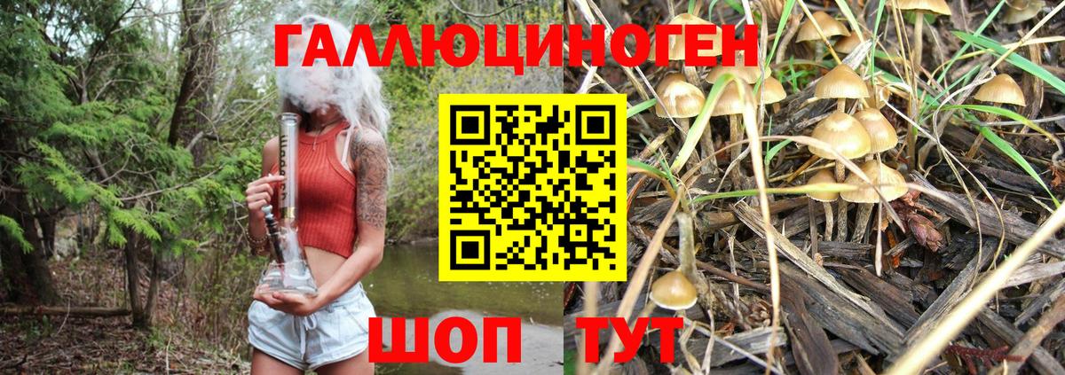 Луховицы  Галлюциногенные грибы Psilocybine cubensis  Вход с VPN  Псилоцибиновые грибы Magic Shrooms 